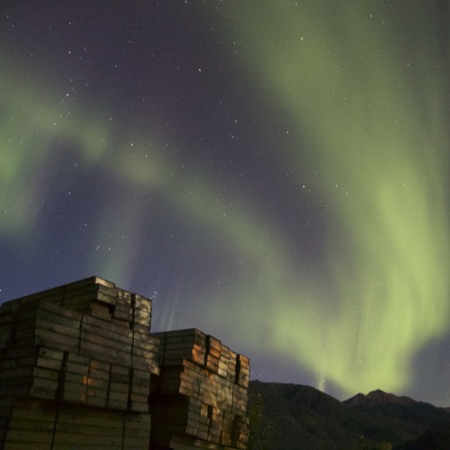 Northern lights over the Akie camp